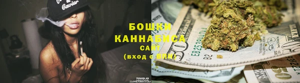 сатива Лагань