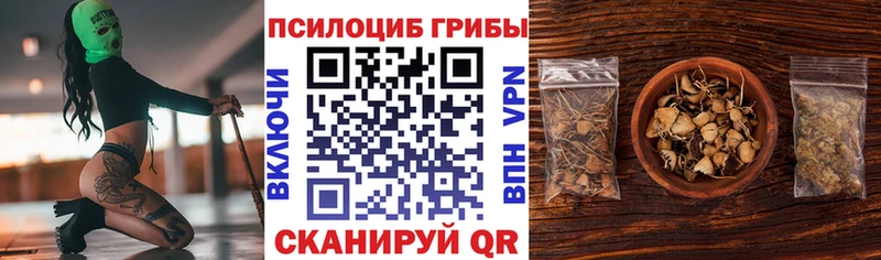 Псилоцибиновые грибы мухоморы  дарнет шоп  Улан-Удэ 