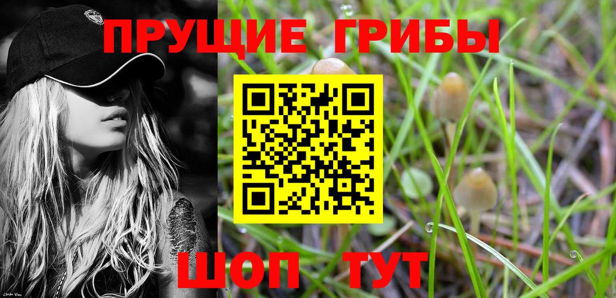 Псилоцибиновые грибы ЛСД  Вход с VPN  Псилоцибиновые грибы Psilocybe  Улан-Удэ 