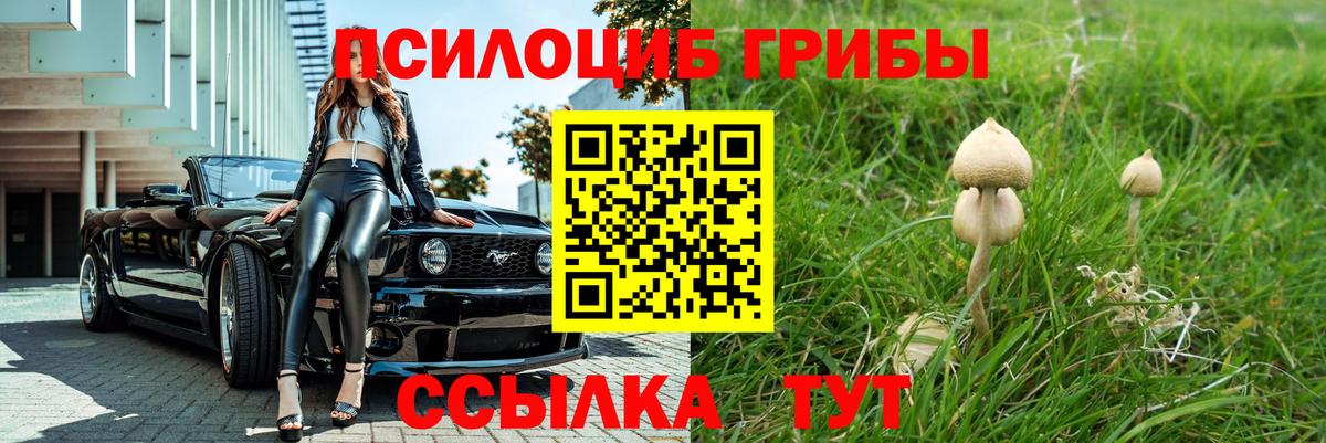 Галлюциногенные грибы мицелий  Улан-Удэ 