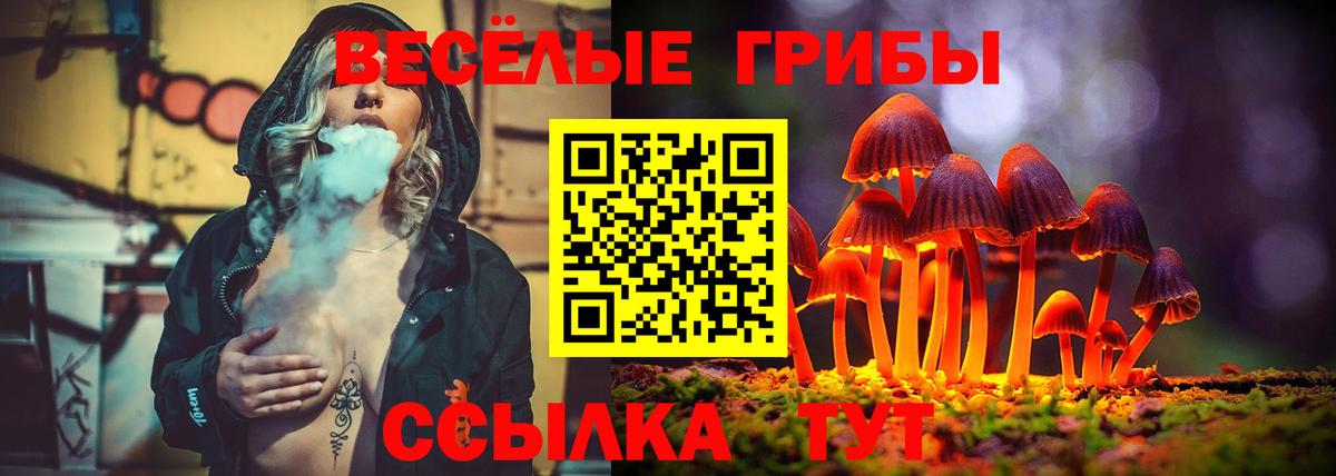 Псилоцибиновые грибы MAGIC MUSHROOMS Улан-Удэ